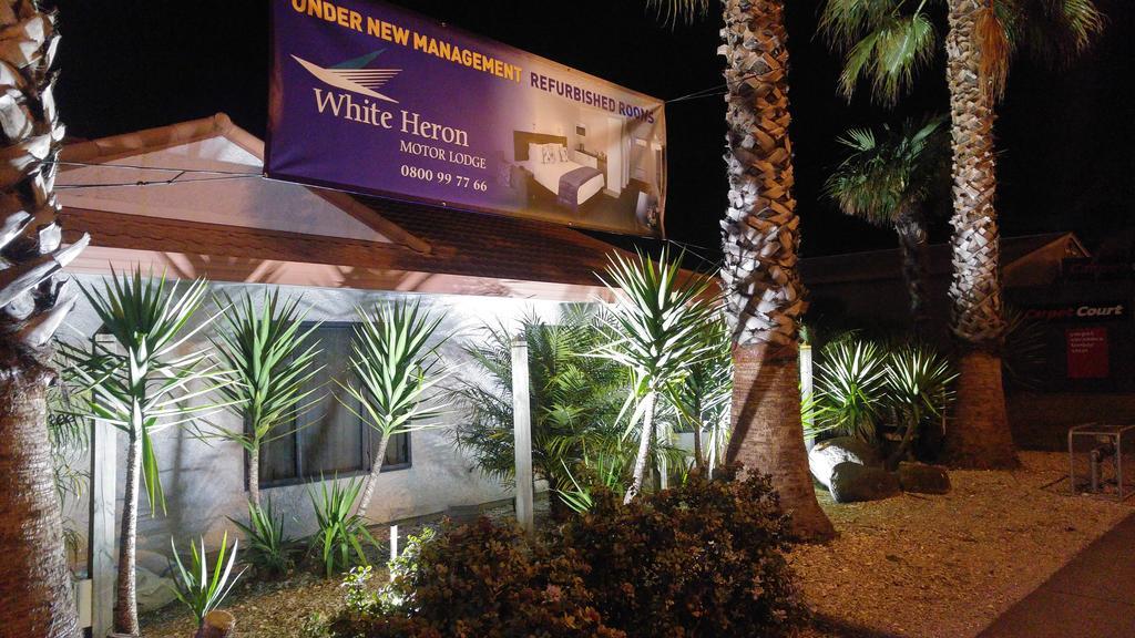 White Heron Motor Lodge Gisborne Zewnętrze zdjęcie