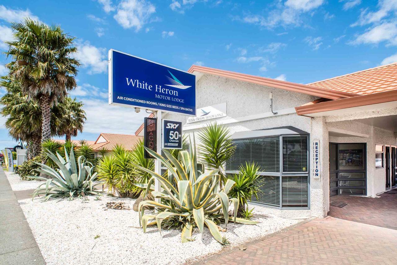 White Heron Motor Lodge Gisborne Zewnętrze zdjęcie